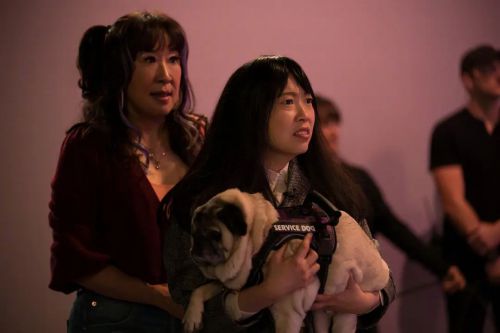 猜谜女士