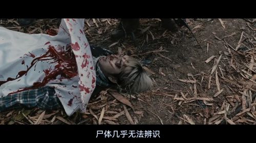 湄公河巨兽