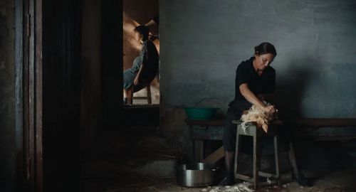 永恒的画面