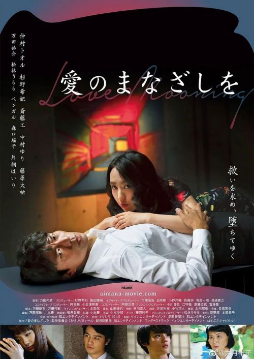 爱之目光 愛のまなざしを