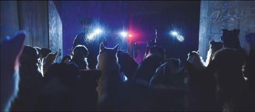狗神
