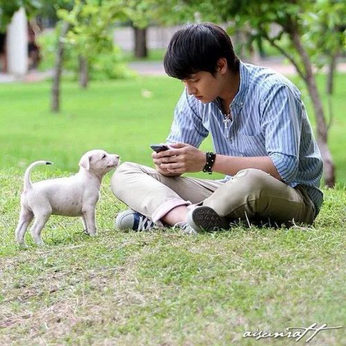 时光情书