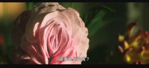 血忌