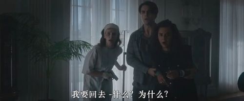 杀人树懒