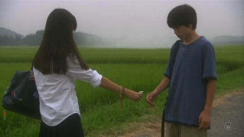 关于莉莉周的一切