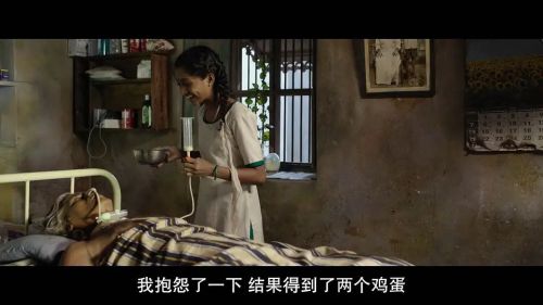 儿子的选择