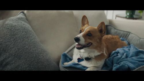 向前看