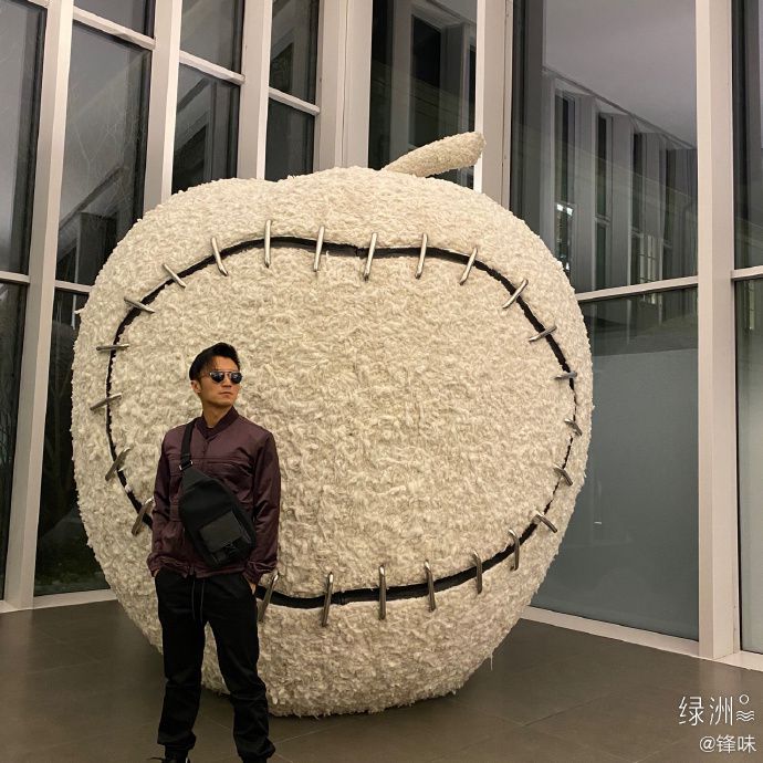 谢霆锋绿洲晒四宫格帅气有型 金丝墨镜紫夹克港味十足
