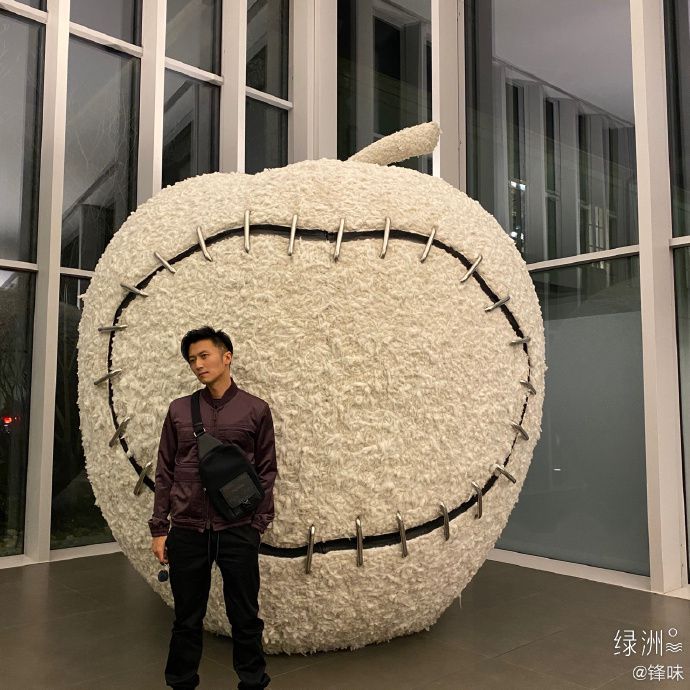 /upload/temp/c5e1c288b53724.jpg