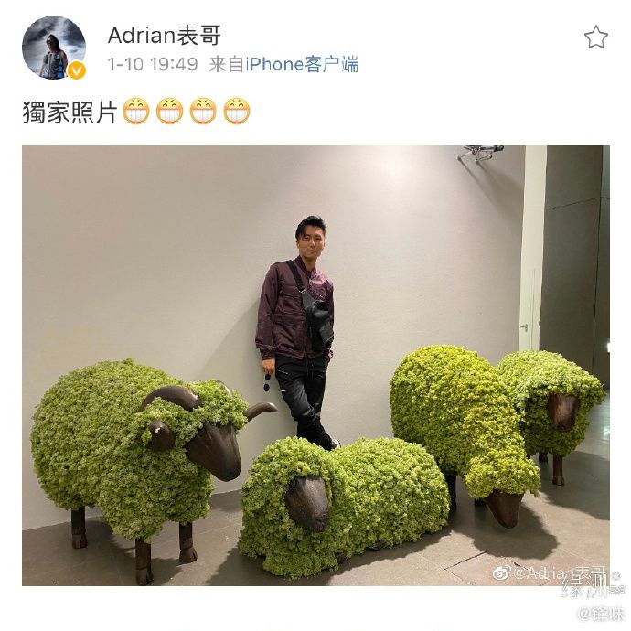 /upload/temp/c5e1c288e56568.jpg