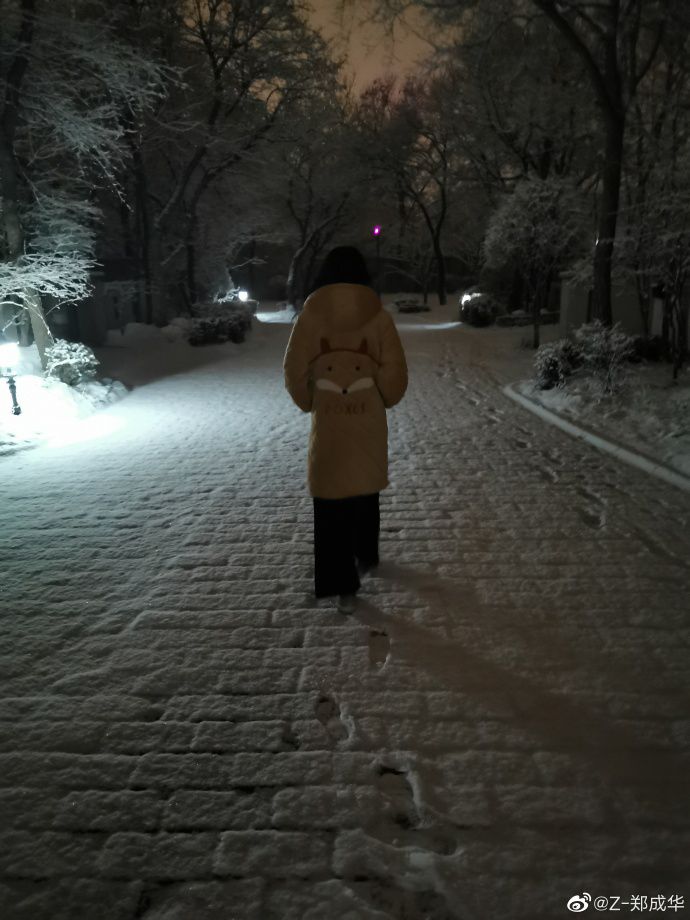 郑爽着羽绒服玩雪超惬意 爸爸默默陪伴身后画面温馨