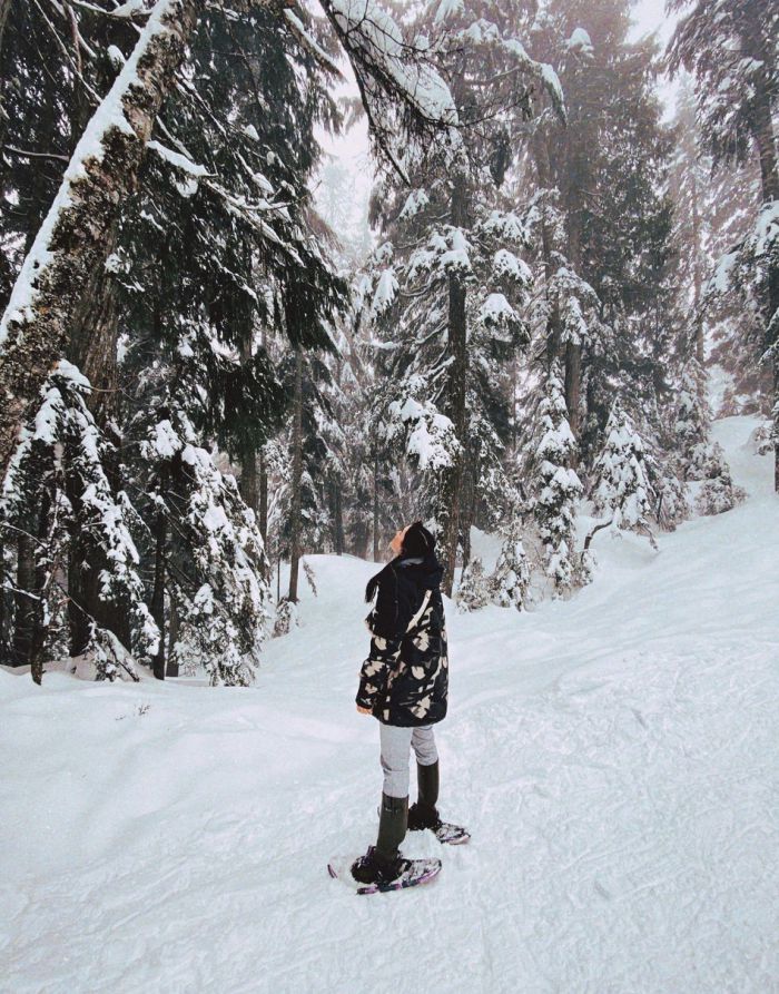 钟丽缇女儿雪地漫步 穿黑底白花上衣与美景融为一体