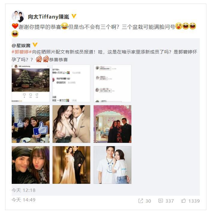 向太疑似否认郭碧婷怀孕 发文感谢大家提早的恭喜