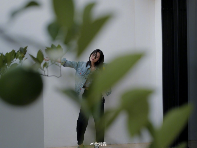 /upload/temp/c5f589a662b2c3.jpg