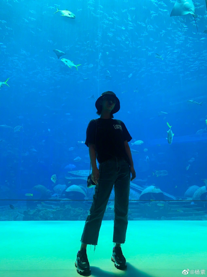 杨紫打卡《亲爱的热爱的》拍摄地 在水族馆拍照秀长腿