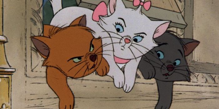 迪士尼动画《猫儿历险记》将拍真人电影