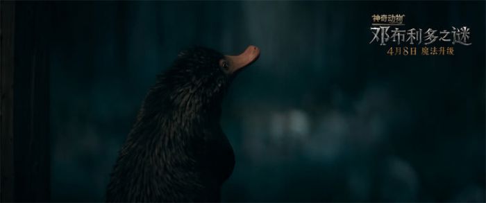 《神奇动物：邓布利多之谜》曝终极预告 重返银幕点燃魔法 盛大狂欢即将开启