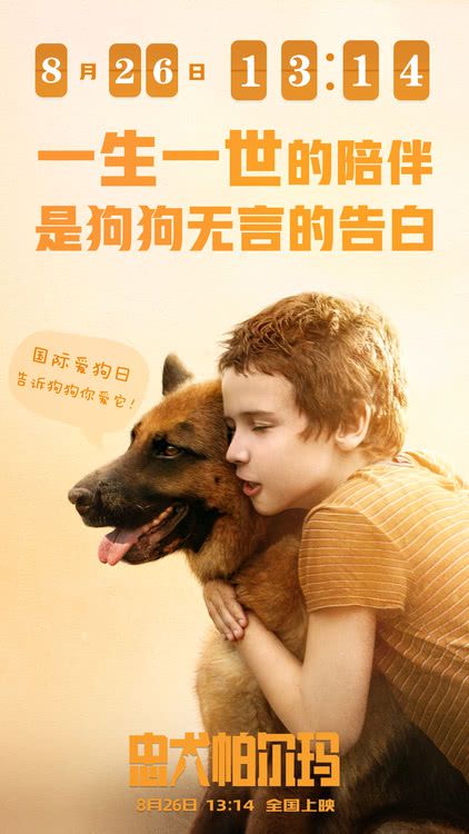 《忠犬帕尔玛》首发中文配音预告 并宣布开启预售