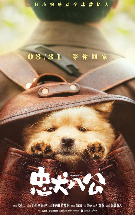 电影《忠犬八公》发布“狗狗超会演”特辑及海报