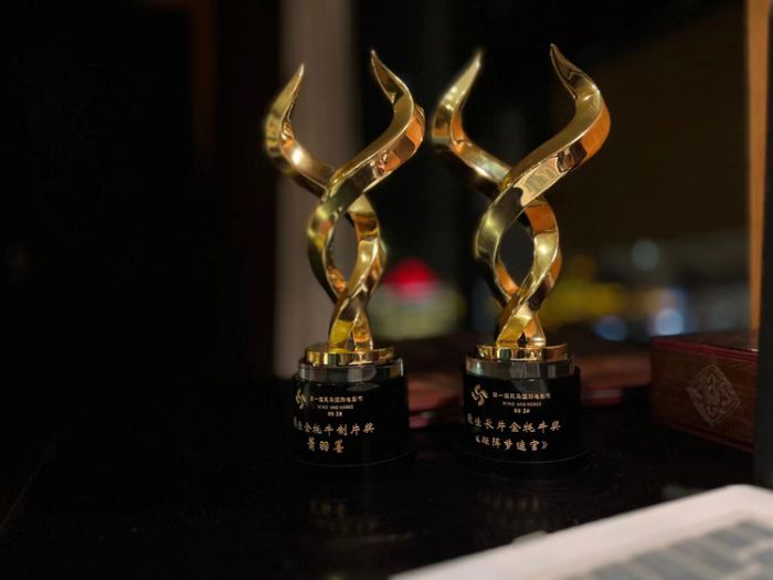 《矩阵梦迷宫》在风马国际电影节大放异彩并荣获三项殊荣