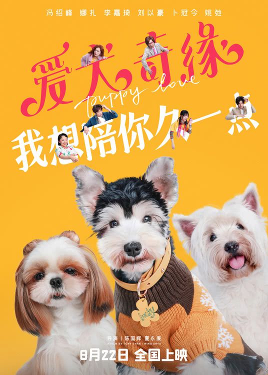 《爱犬奇缘》发布定档海报 将于七夕8月22日全国上映