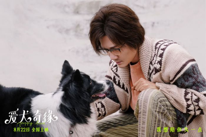 《爱犬奇缘》发布定档海报 将于七夕8月22日全国上映