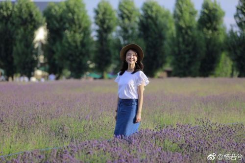 杨若兮