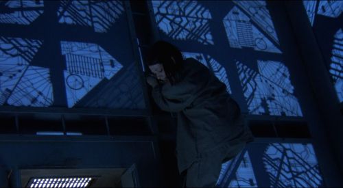 妮可·德波儿