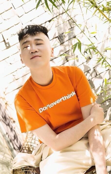 杨九郎