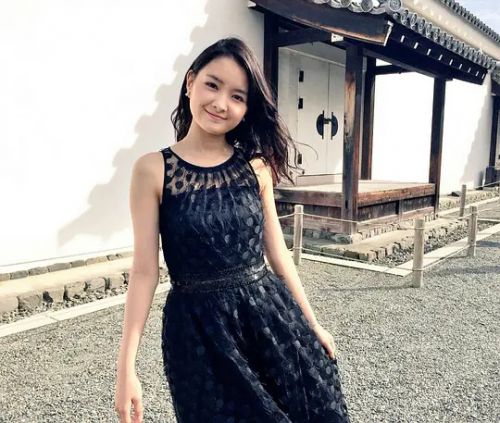 葵若菜