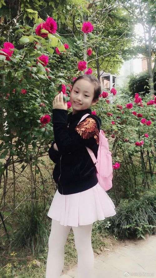 孟芷旭