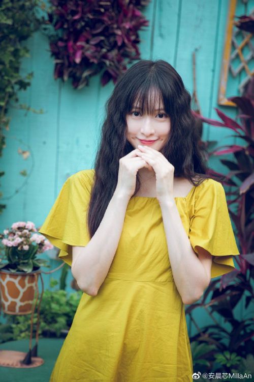 安晨芯