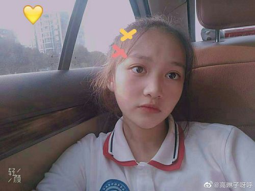 高琳子