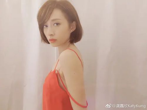 龚嘉欣