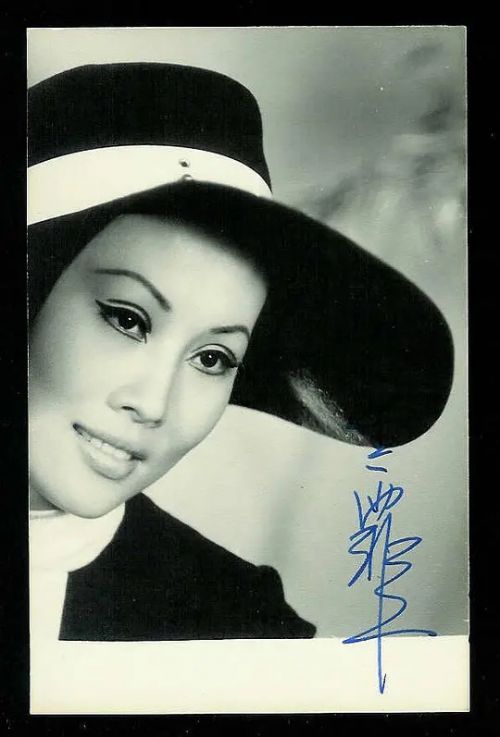 金霏