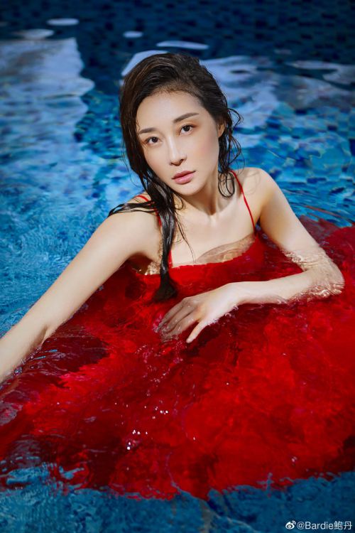 鲍丹