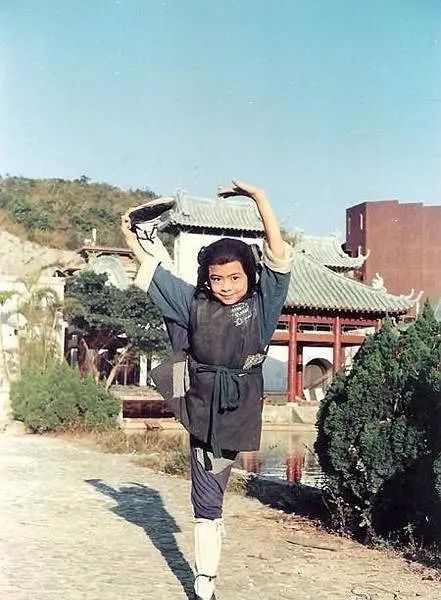 樊少皇