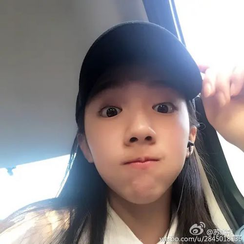 苏晓彤