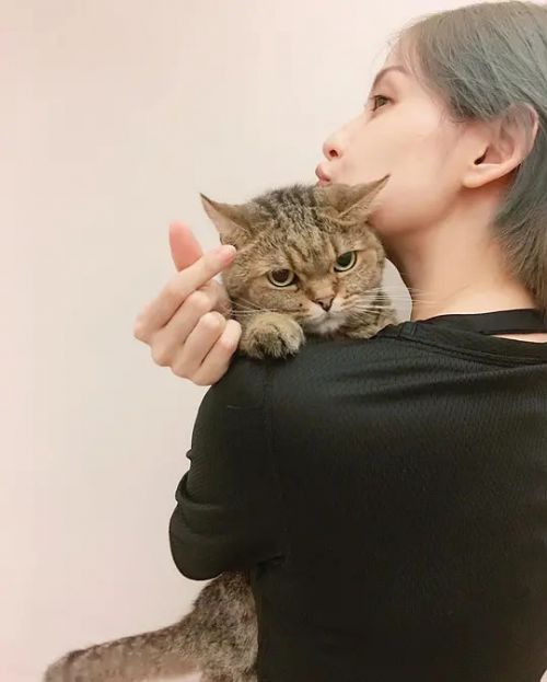 袁艾菲