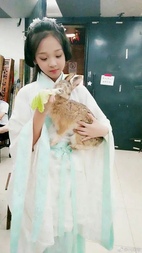 陈舒宜