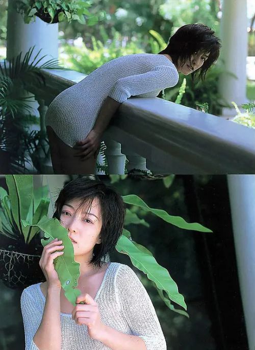 高树澪