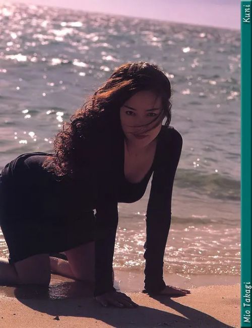 高树澪