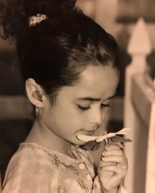 斯蒂芬妮·诺格拉斯