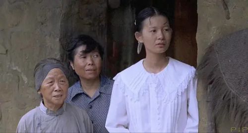 张纯芳