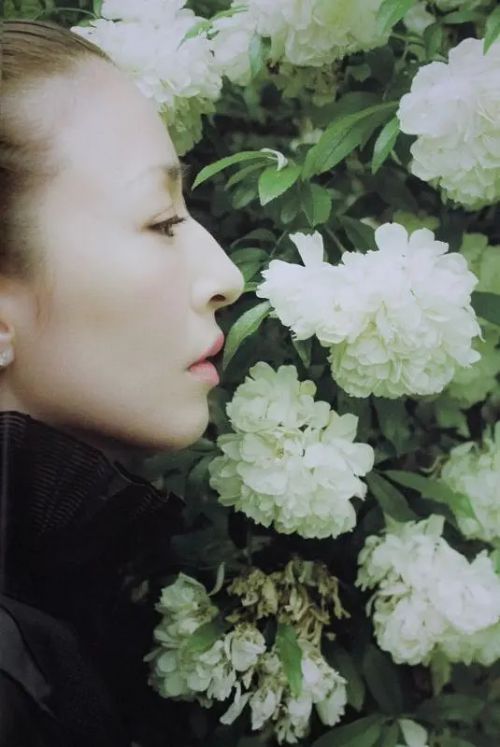 松雪泰子