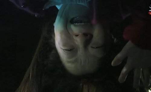 笹野鈴々音
