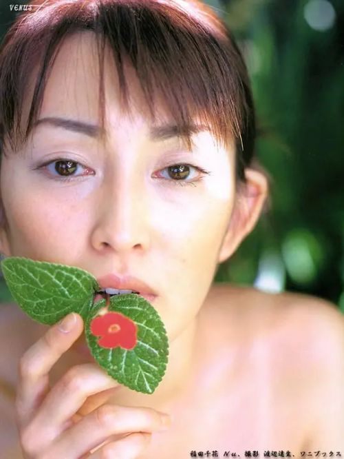 稻田千花