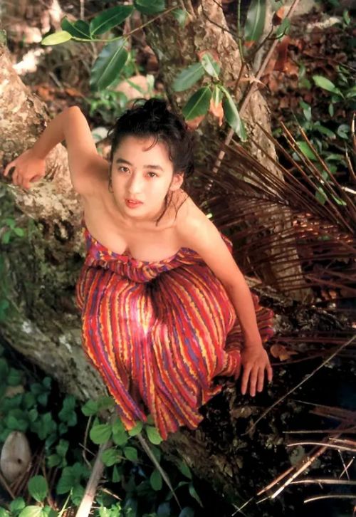 秋乃樱子
