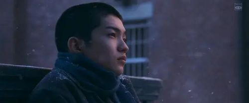西畑大吾