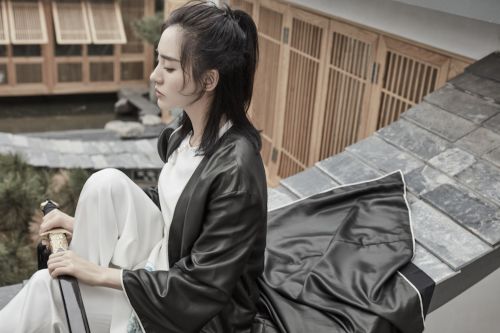 王智